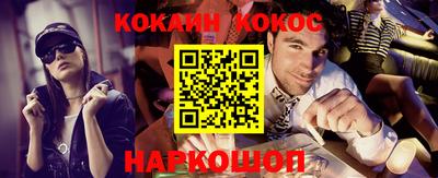 шишки Гай