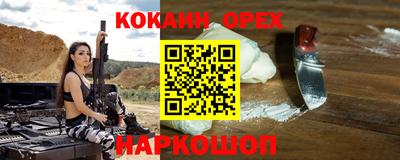 шишки Гай