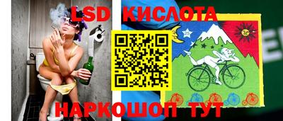 шишки Гай