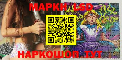 шишки Гай