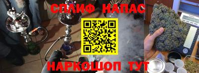 шишки Гай