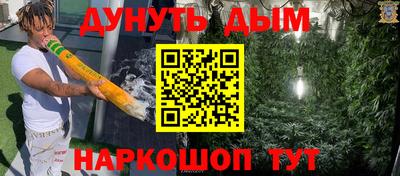 шишки Гай