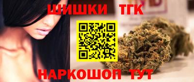 шишки Гай