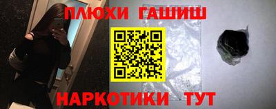 шишки Гай