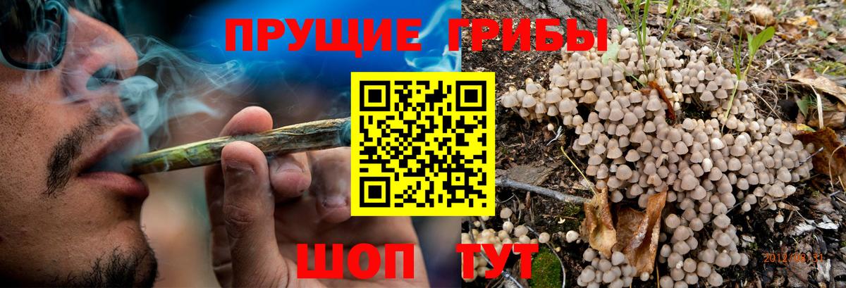 Галлюциногенные грибы ЛСД  Вход с VPN  Волоколамск 